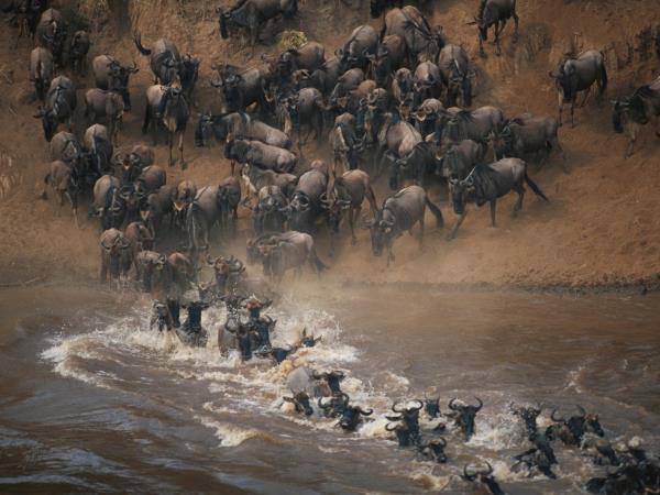 Rwanda, Uganda and Kenya camping safari, gorillas & the Mara