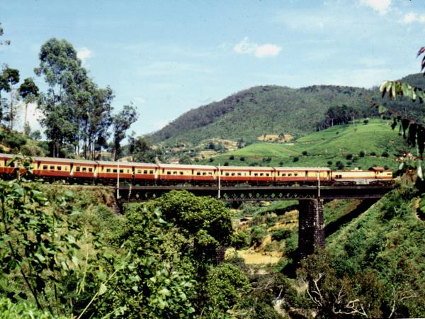 Sri Lanka family holiday, tailor made