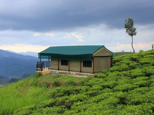Best of Sri Lanka vacation, tailor made