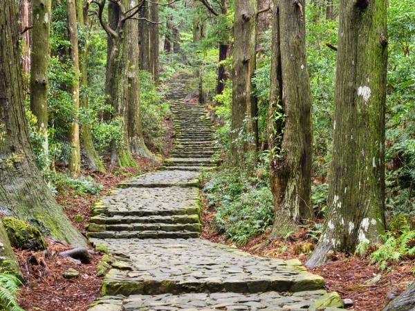 Japan north to south vacation small group