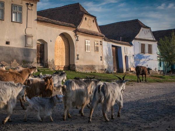 Romania tailor made vacation