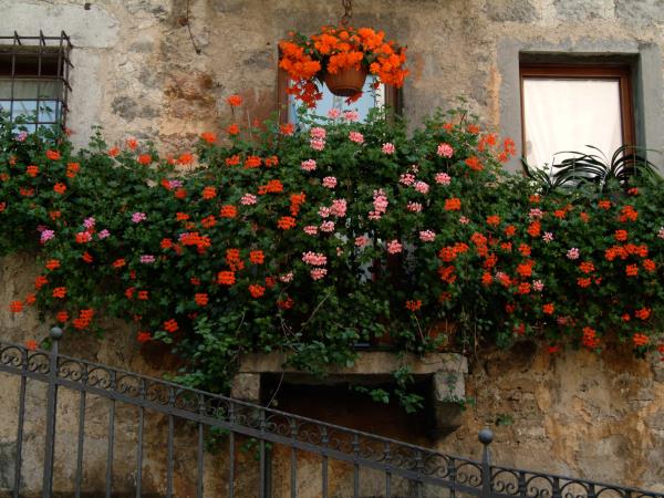 Bergamo circular walking tour in Italy
