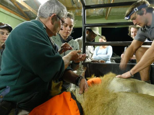 Endangered wildlife conservation in South Africa