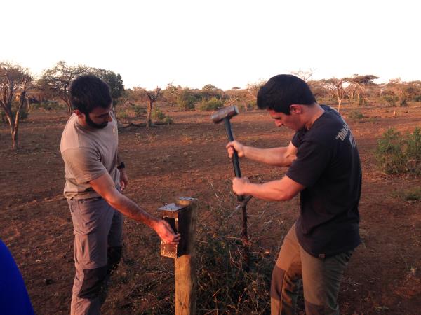 Endangered wildlife conservation in South Africa