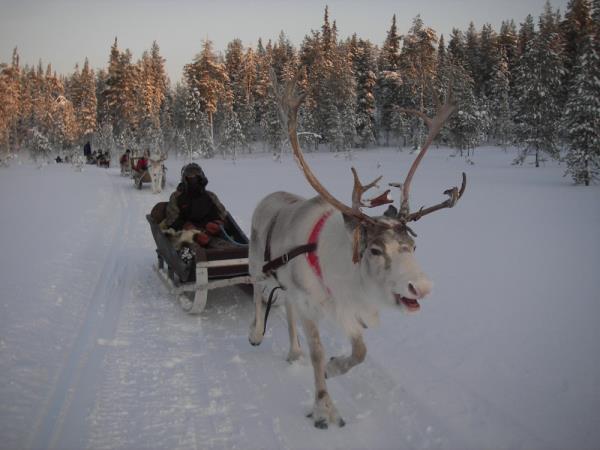 Helsinki and Rovaniemi Christmas vacation with Santa