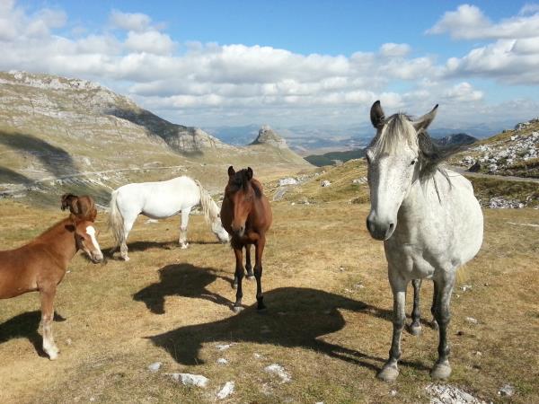 Self guided trekking vacation in Montenegro