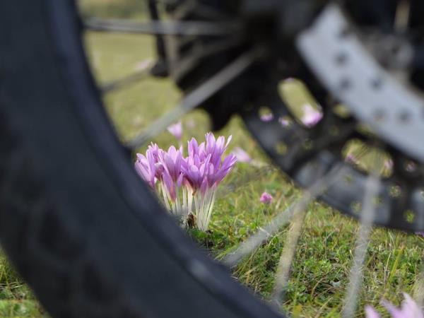 North Eastern Europe motorcycle tours