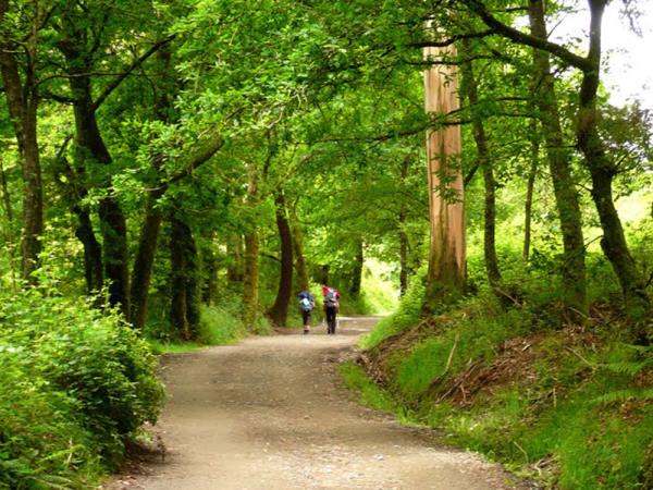 Leon to Santiago de Compostela hiking vacation, Spain