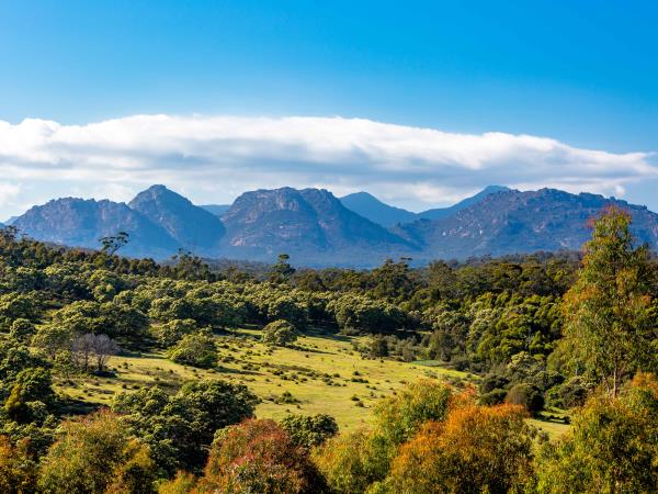 B&B self drive tour of Tasmania, meet the locals 