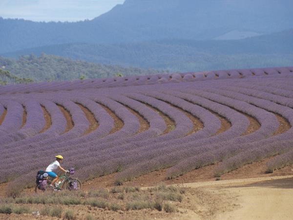 Tasmania self guided biking vacation, Australia