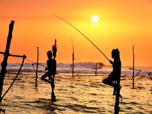 Grand tour of Sri Lanka, tailor made