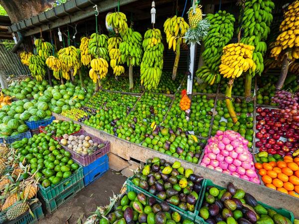 Grand tour of Sri Lanka, tailor made