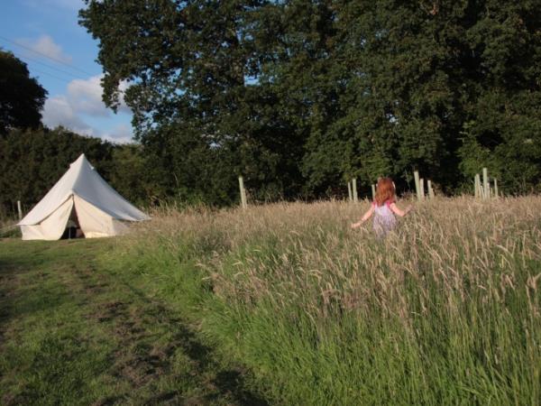 Sussex campsite in the South Downs, England