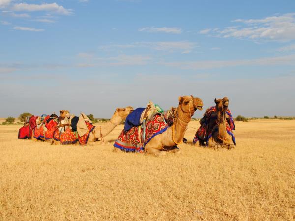 Gujarat cultural vacation, India