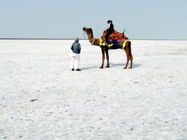Gujarat cultural vacation, India