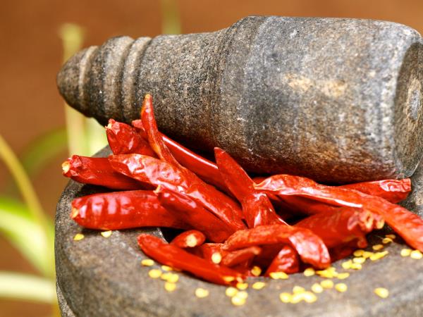 South India food tour, Chennai to Mysore
