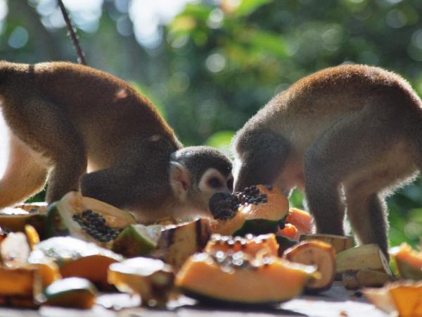 Galapagos & Ecuador vacation for families
