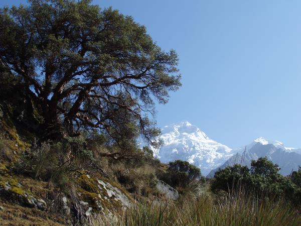 Mountain Biking holiday in the Cordillera Blanca, Peru