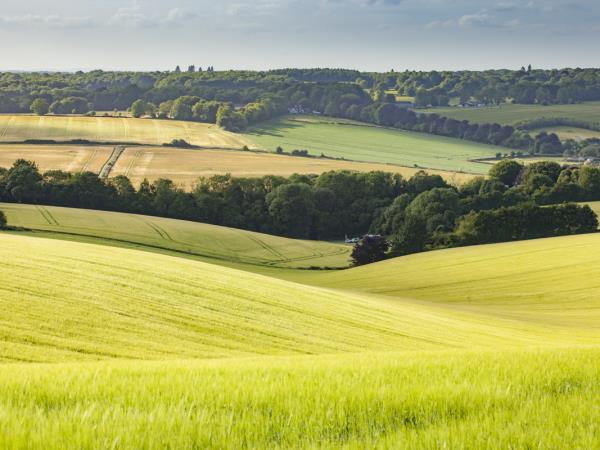 South Downs farm camping & caravan site, England