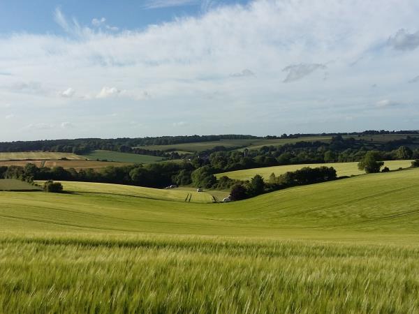 South Downs farm camping & caravan site, England