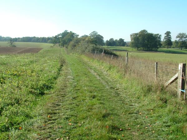 Winchester to Canterbury Pilgrims way, England