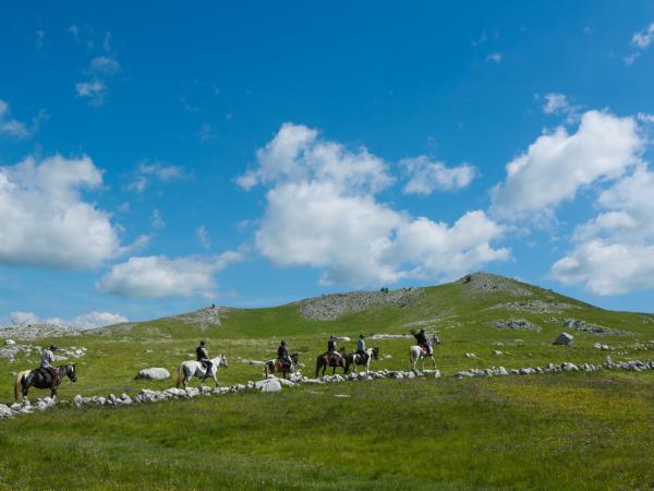 Wilderness riding vacation in Montenegro