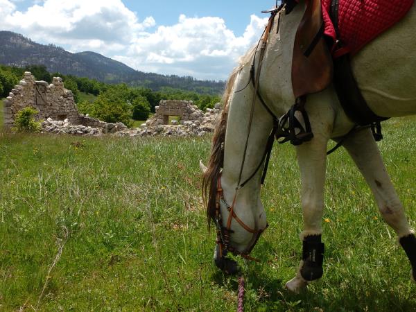 Wilderness riding vacation in Montenegro
