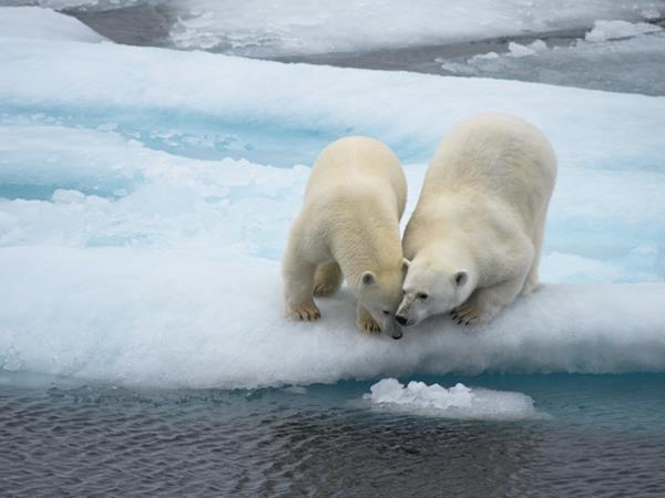 Spitsbergen luxury cruises