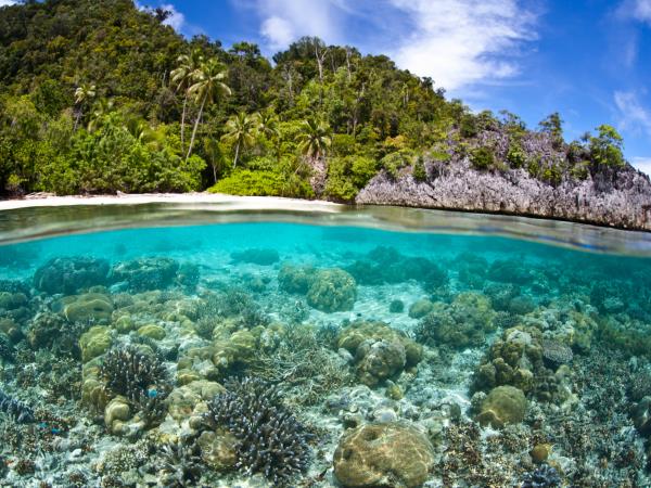 Indonesia snorkelling holiday, Bali & Komodo