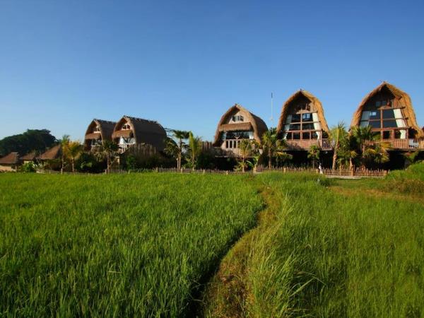 Indonesia snorkelling holiday, Bali & Komodo