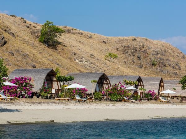 Dive holiday in Indonesia, Alor and Komodo
