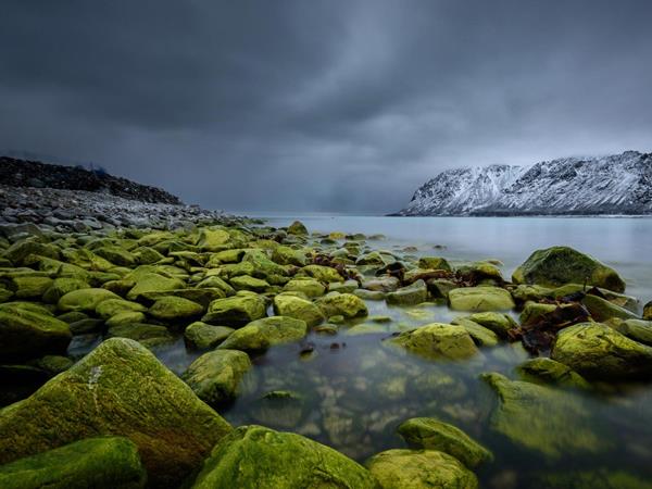 Spitsbergen Arctic Cruise
