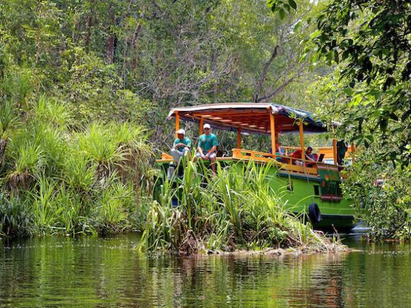 Tanjung Puting orangutan vacation in Borneo