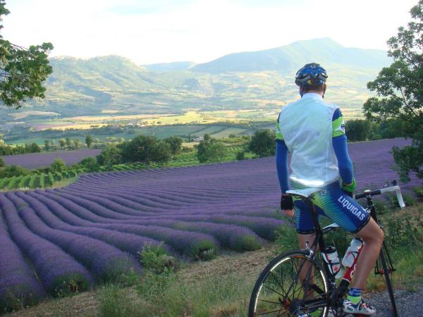 Provence self guided biking vacation, Ventoux & Luberon