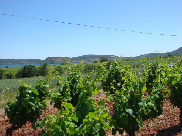 Provence self guided biking vacation, Ventoux & Luberon