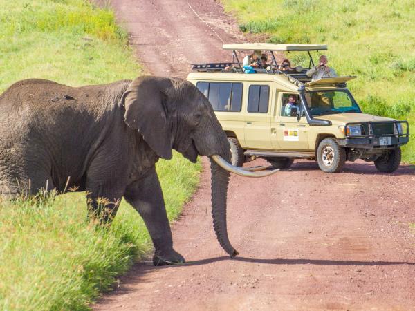 Luxury Tanzania safari with Maasai experience