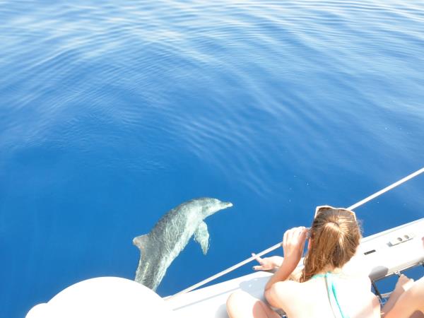 Sailing in Croatia