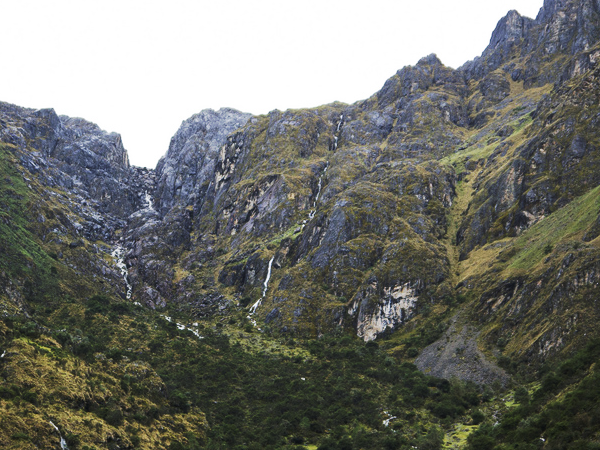 Peru bird watching vacation
