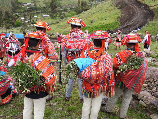 Peru bird watching vacation