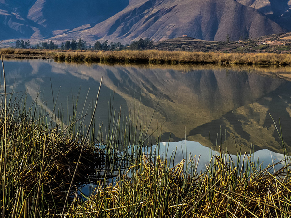 Peru bird watching vacation