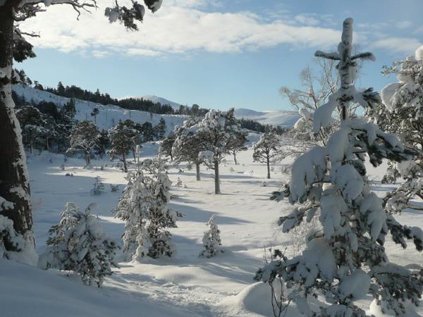 Scotland winter hiking vacations