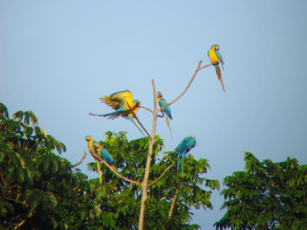 White water & wildlife vacation in Peru
