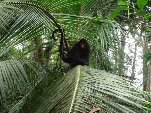 White water & wildlife vacation in Peru