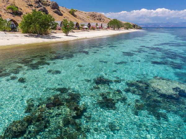 Dive tour in Indonesia, Bali & Komodo