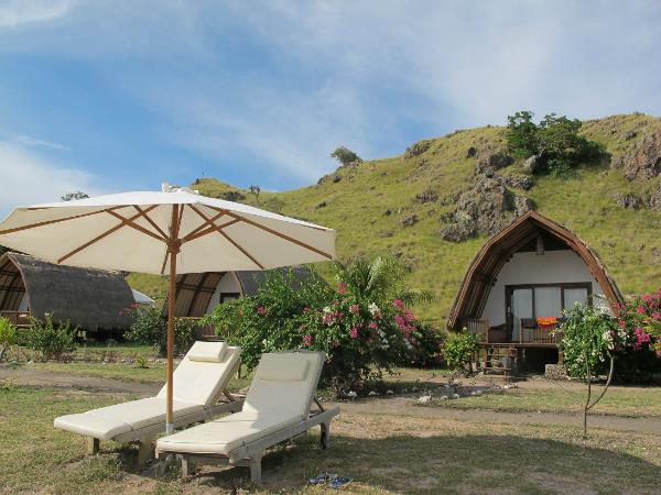 Dive tour in Indonesia, Bali & Komodo