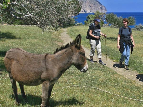 Karpathos and Rhodos walking & cultural vacation, Greece