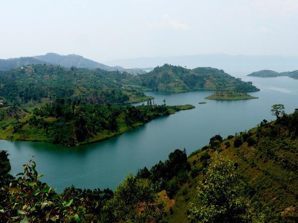Gorilla safari in the DR Congo