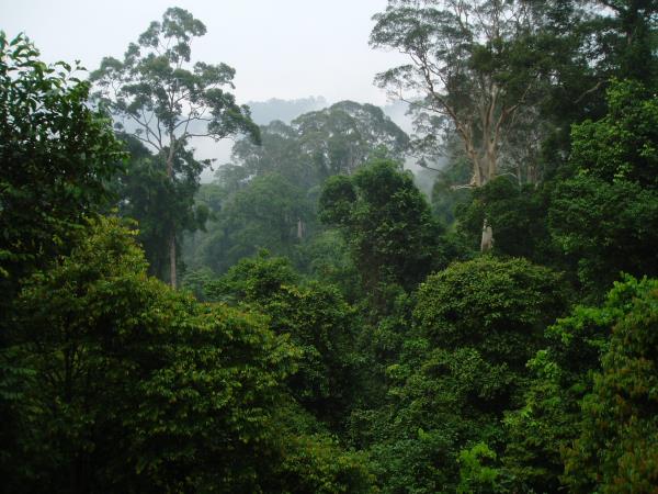 Borneo wilderness adventure vacation