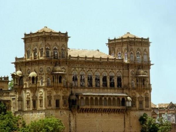 India big cats safari, lions and tigers