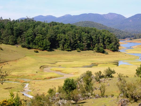 History, culture & wildlife of India vacation